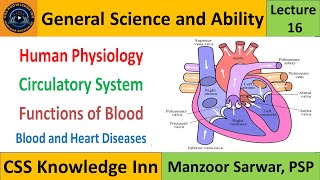 Circulatory System  Functions of Blood  Blood Diseases  Heart Diseases [upl. by Whiney]