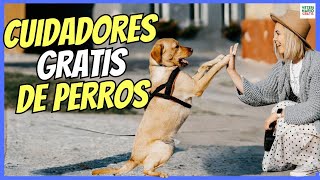 💝 PRESTAME A TU PERRITO 💝 CUIDADORES DE PERROS GRATIS [upl. by Latonia]