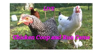 Chicken Coop Cam Live [upl. by Leumas298]