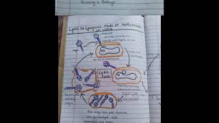 microbes topic 6 Lytic And Lysogenic Cycle  biology BSC exam [upl. by Emogene]