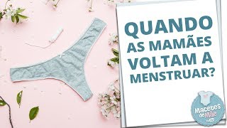 MENSTRUAÇÃO PÓS PARTO EM QUANTO TEMPO ELA VOLTA  MACETES DE MÃE [upl. by Tat94]