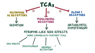 Tricyclic Antidepressants pharmacology 🔥OSMOSISFull mechanism side effects selflessmedicose [upl. by Frymire332]