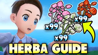 🌿 BEST HERBA MYSTICA FARMING GUIDE For Pokemon Scarlet amp Violet [upl. by Kliber]