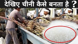 चीनी मिल में चीनी कैसे बनती है   Sugar Making Process In Factory [upl. by Tybi]