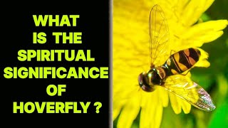 WHAT IS THE SPIRITUAL SIGNIFICANCE OF HOVERFLY INSECT [upl. by King]