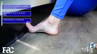 Exercice de réadaptation  Membre inférieur Étirementextenseur de lhallux au mur [upl. by Eicul]