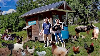 Raising 143 FARM Animals to FEED our FAMILY on our HOMESTEAD [upl. by Nahta]