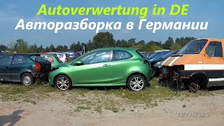 Авторазборка в Германии Autoverwertung [upl. by Quickel20]