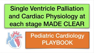 Single ventricle palliation and cardiac physiologysaturation and QpQs at each stage MADE CLEAR [upl. by Ttoile673]