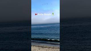 Avila Beach 🏝️ avilabeach videos reel shortvideoformat punjabnews fannyvideo tranding [upl. by Llerrom]