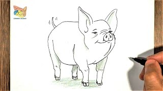 Comment dessiner un cochon facile au crayon [upl. by Ansev632]