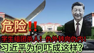 危险！！无锡学生团伙杀人！仇外转向仇内！习近平为何吓成这样？ [upl. by Wichern1]