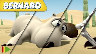 🐻‍❄️ BERNARD  Collection 37  Full Episodes  VIDEOS and CARTOONS FOR KIDS [upl. by Vivian]