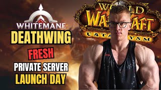 How Was the Launch of Whitemane Deathwing [upl. by Jeddy]