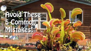 Venus Flytrap  5 Common Mistakes to Avoid for a Vibrant Plant [upl. by Idnib]