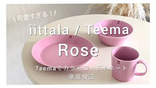 iittalaTeema④〜Teema『Rose』が可愛すぎる！ Rose × ティーマ各色とのカラーコーディネートを徹底検証✨ [upl. by Yneffit]