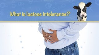 What is lactose intolerance [upl. by Eimar963]