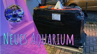 Armatus 500xd MWA 1  Neues Aquarium [upl. by Enelec973]