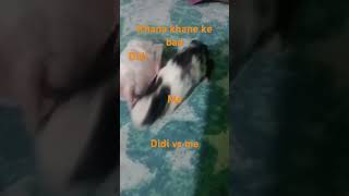 Khana khane ke bad meri didi vs me [upl. by Jade]