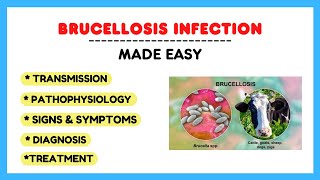 Brucella infection Brucellosis pathophysiology symptoms treatment microbiology made easy [upl. by Doro]