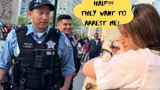 POLICE reaction to a CAT [upl. by Allcot]