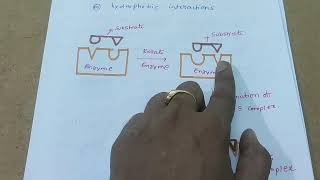 Supramolecular chemistry part 2 [upl. by Nomor]