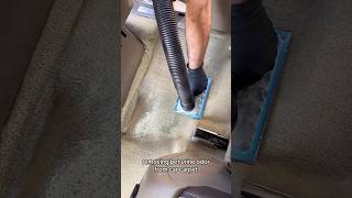 Pet smell removal and cleaned from carpet car [upl. by Roede]