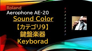 Aerophone AE20 音色【カテゴリ9 鍵盤楽器】 [upl. by Carrissa]