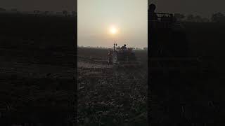 plowing field with tractor in pakistan [upl. by Raffin]