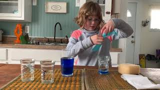 Absorbency Experiment for Kids [upl. by Yer]