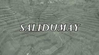 Salidumay  Music of Cordillera  Minus one  Instrumental [upl. by Havard]