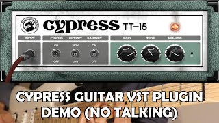 Cypress TT15 Black Rooster Audio Guitar VST Demo No Talking charvel metal guitarsolo [upl. by Vernen502]