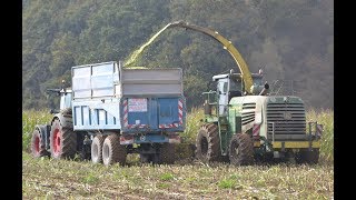 ETA LEHERLE  JOHN DEERE 7400 à l ensilage du maïs dans la Meuse 55 [upl. by Eniamsaj]