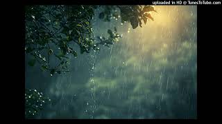 Rain Ambient Mix [upl. by Nevad]