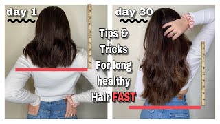 How To Grow Your Hair Long FAST 3 Inches In a Month Best Tips For Growth [upl. by Viole276]