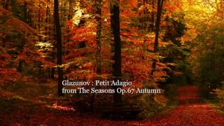 Glazunov Petit Adagio from The Seasons Autumn [upl. by Ellerahs]