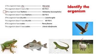 14 Dichotomous key  IGCSE BIOLOGY  httpswwwl2htuitioncom [upl. by Nagad]