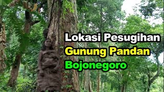 Seperti Inilah Lokasi Pesugihan Gunung Pandan Bojonegoro Petilasan Gendro sari Makam Dowo [upl. by Elleryt]