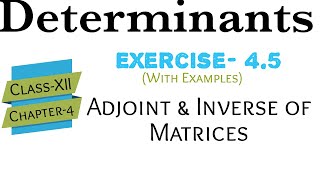 Adjoint amp Inverse Of MatricesDeterminantsChap4Class12Ex45With Example [upl. by Emiaj]