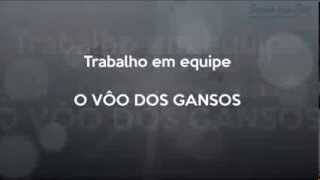 O Vôo dos Gansos  Motivação Liderança e Trabalho em Equipe [upl. by Kari]