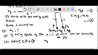 A spider of mass ms drapes a silk thread of negligible mass over a stick with its far e… [upl. by Aira482]