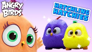 Angry Birds  Hatchling Hatchies Friendship 💓 [upl. by Nolur843]