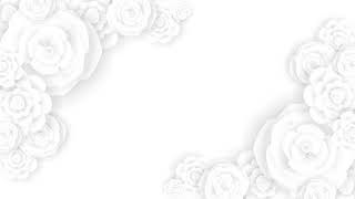 CLEAN WHITE FLOWER VIDEO BACKGROUND  WHITE FLOWER BACKGROUND  sparkgfx [upl. by Enialed]