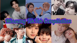 Minsung TikTok Compilation pt6 [upl. by Dnanidref263]