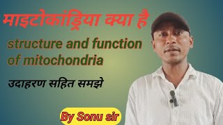 structure and function of mitochondria mitochondria kise kahate hain माइटोकांड्रिया [upl. by Cordelia]