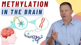 Methylation in the Brain What is it [upl. by Eloken]