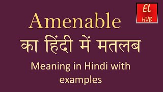 Amenable meaning in Hindi [upl. by Orva]