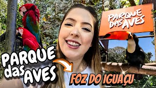 PARQUE DAS AVES EM FOZ DO IGUAÃ‡U â€¢ TUDO O QUE VOCÃŠ PRECISA SABER [upl. by Minnaminnie]