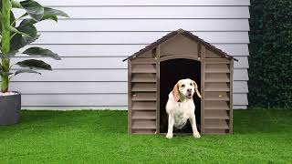 Keep Your Pup Safe and Happy With Starplasts Dog House [upl. by Shamma]