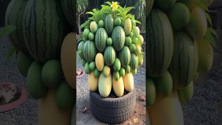 Amazing Planting Techniques for Harvest more Mangoes amp Watermelons shorts farming [upl. by Bouzoun468]